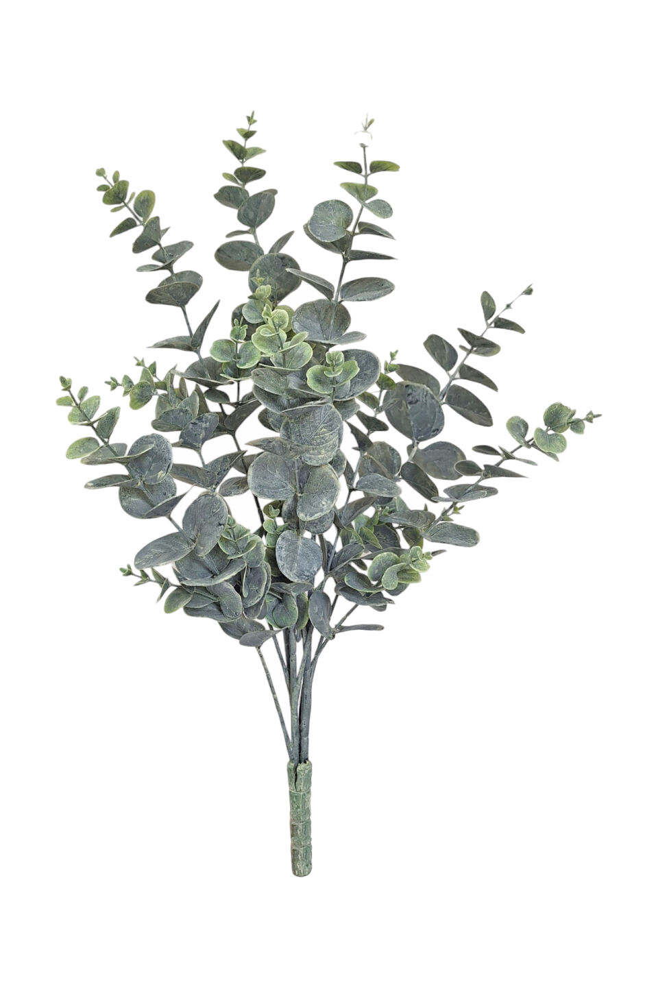Eucalyptus Bush - Grey/Green