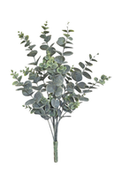 Eucalyptus Bush - Grey/Green