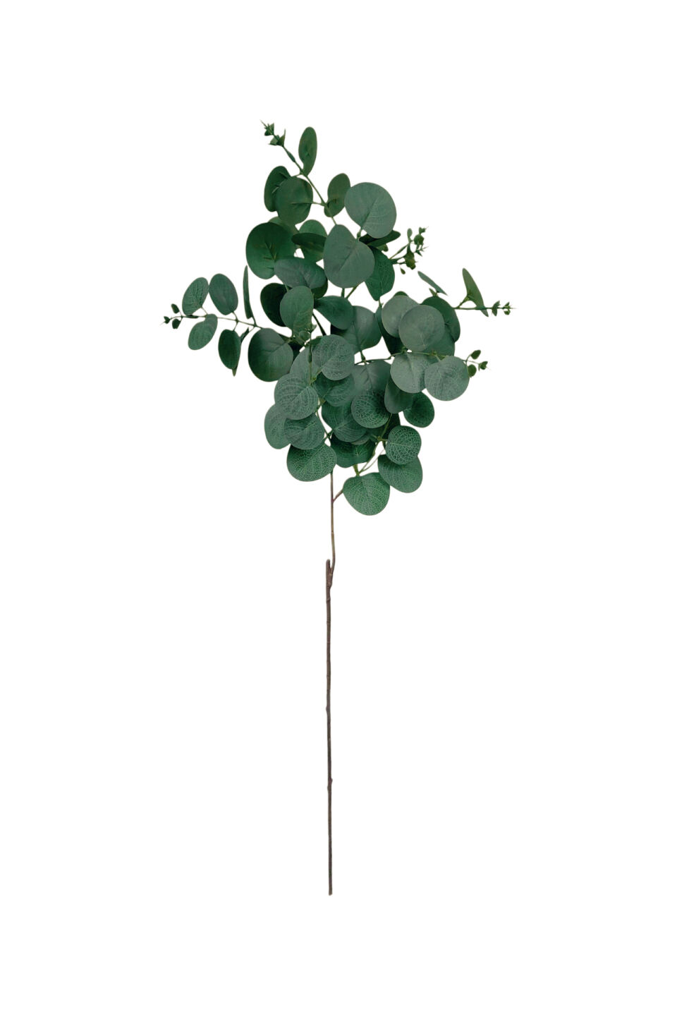 Eucalyptus Spray - Dark Green