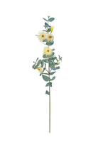 Flowering Gum Spray - Cream