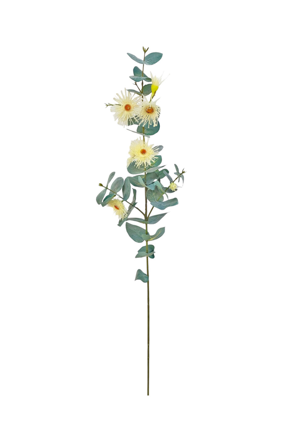 Flowering Gum Spray - Cream