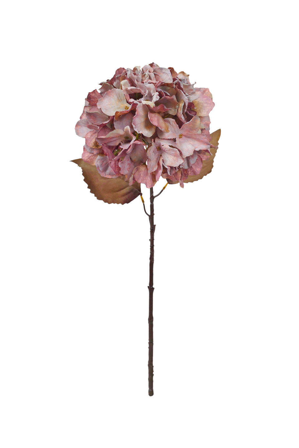 Large Fall Ball Hydrangea - Antique Mocha