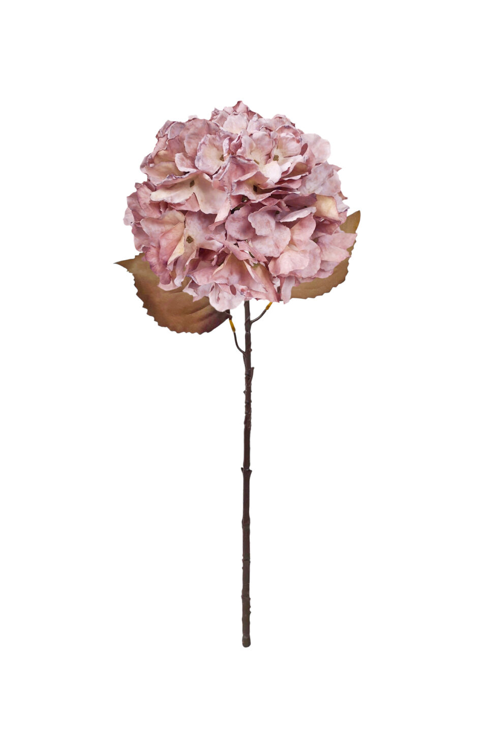 Large Fall Ball Hydrangea - Antique Pink