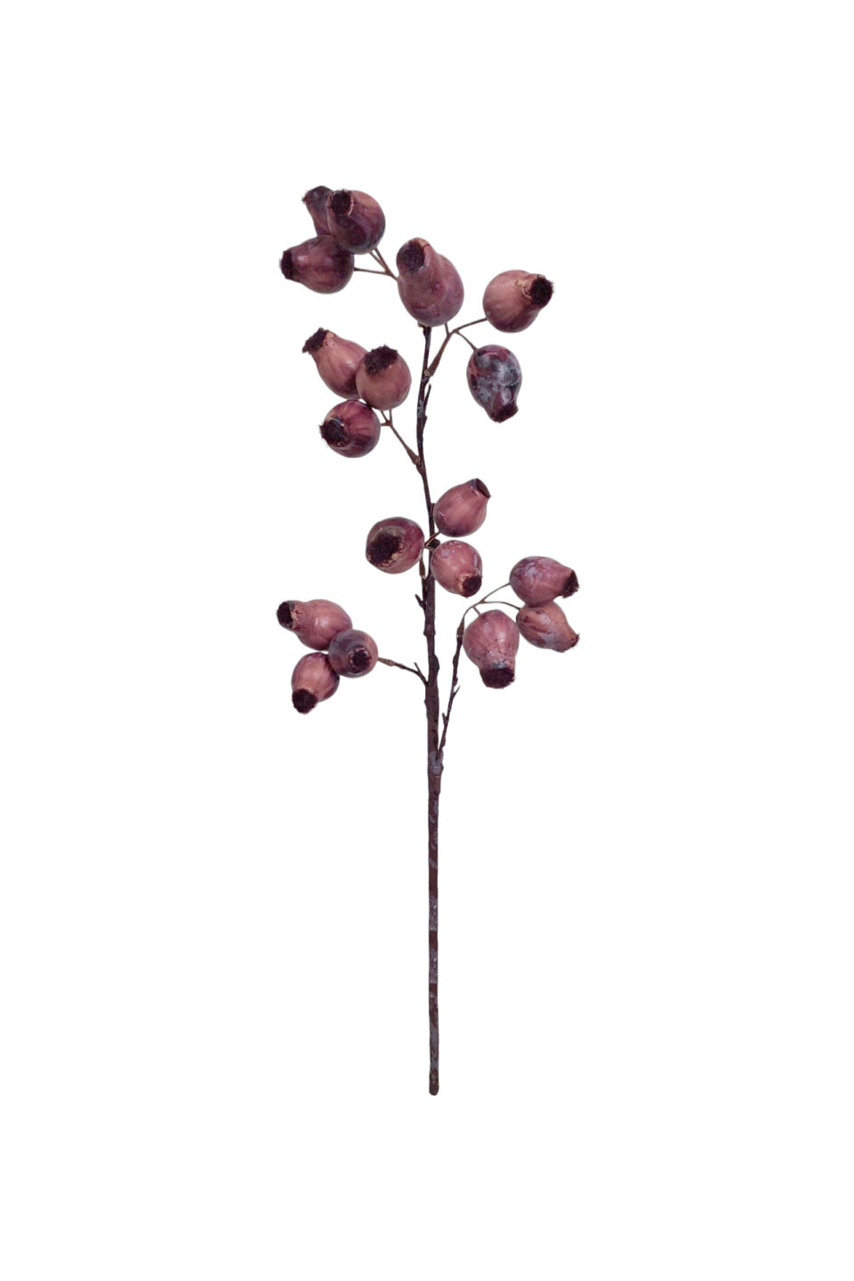 Gum Nut Pods - Aubergine
