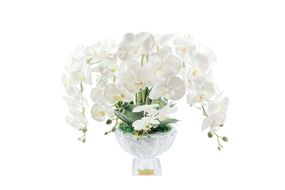 COTE NOIRE Tall White Orchid Centrepiece - Gold Badge