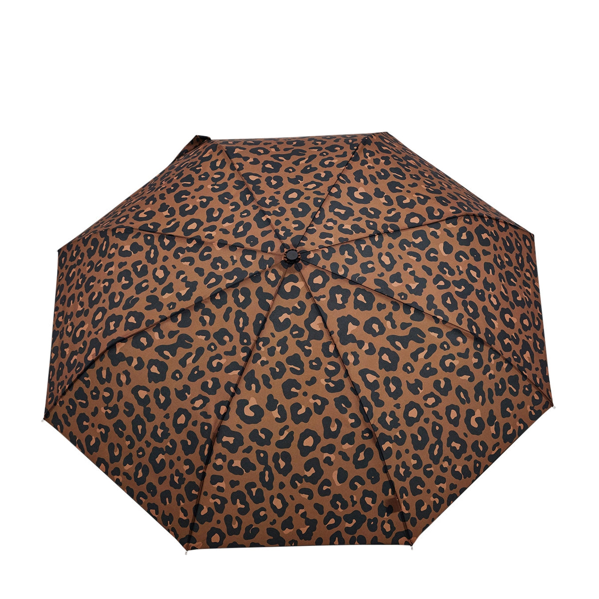 Original Duckhead Umbrella - Leopard - 2
