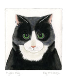 Mystic Mog Card by Museums & Galleries