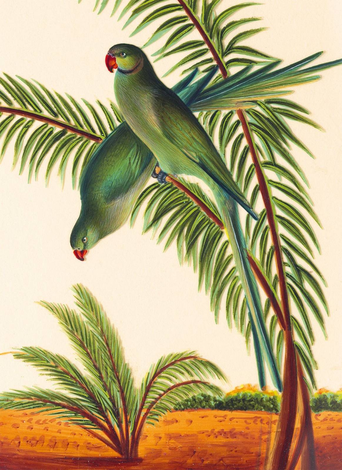 Two Parakeets Card by Museums & Galleries