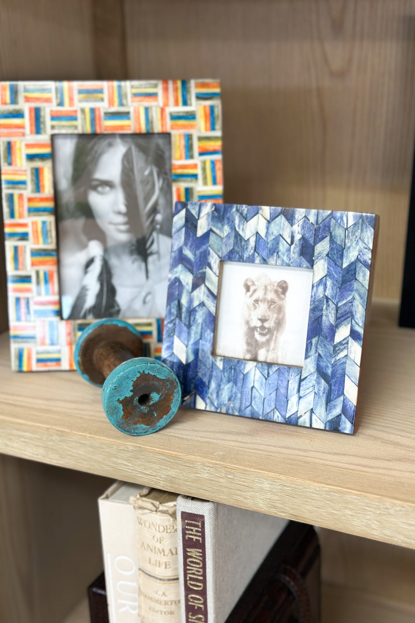 Indigo Bone Frame - Small - Magpie Style