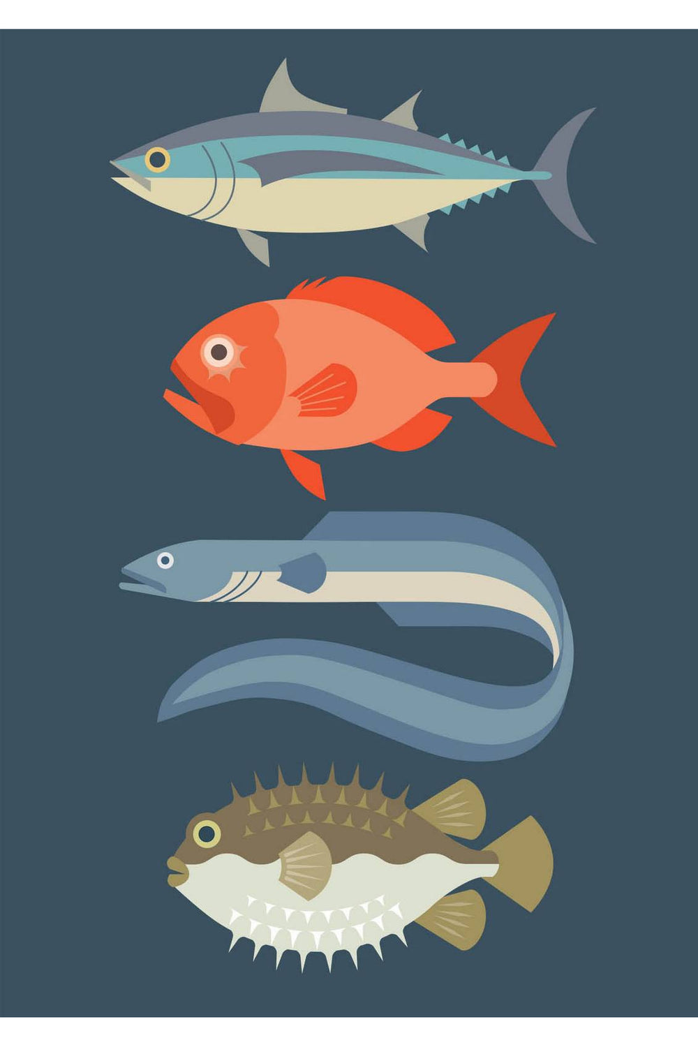 New Zealand Fish Greeting Card