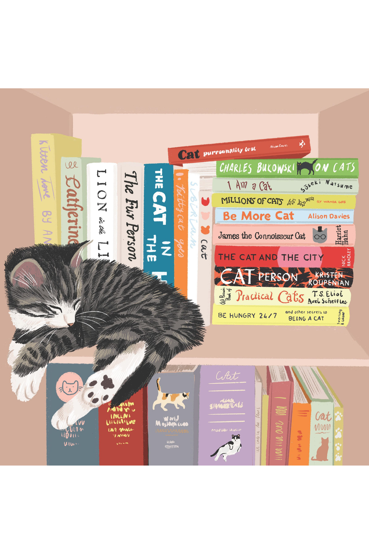 Card - Library Cat - Nuovo LEVY08 hero