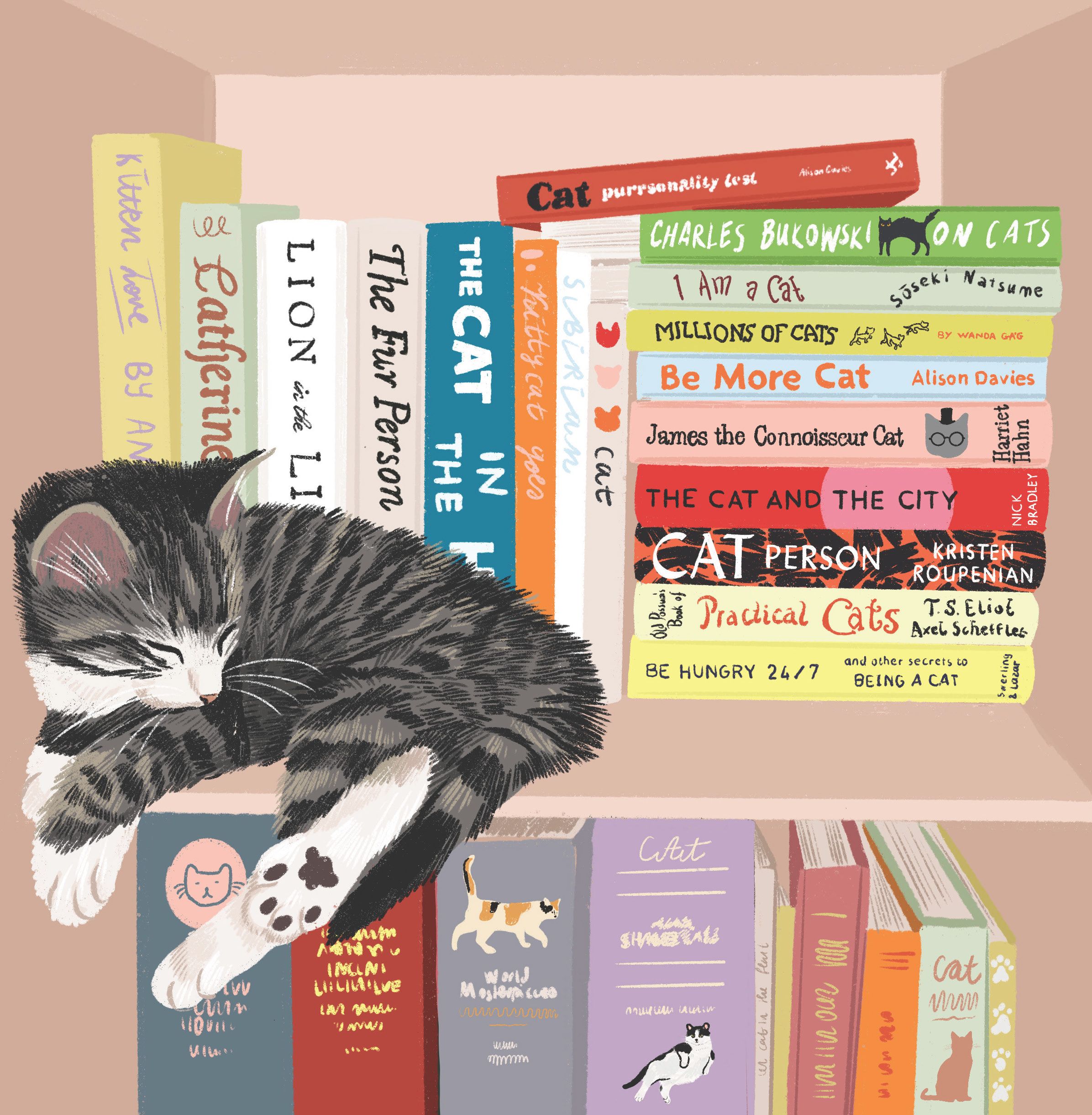 Card - Library Cat - Nuovo LEVY08 original