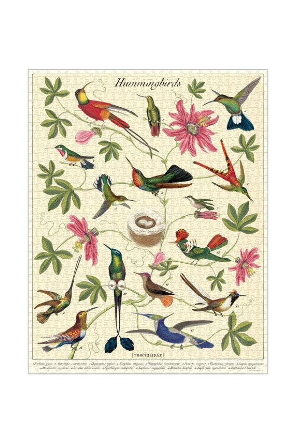 Cavallini & Co - Hummingbirds 1000 Piece Vintage Puzzle - Magpie Style