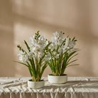 Cymbidium Orchid Pot - White - 3