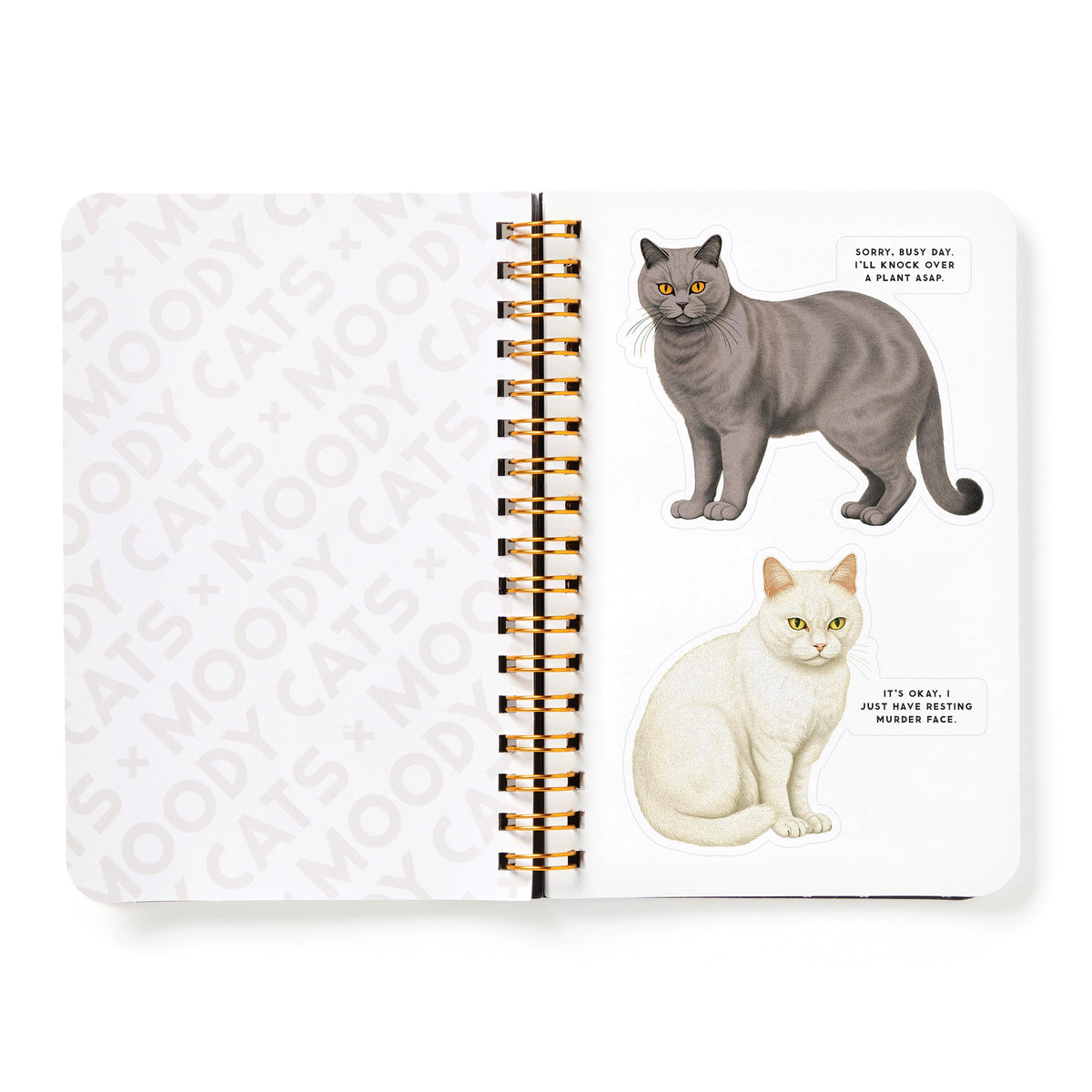 Moody Cats Sticker Book - 7