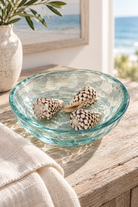 Spotty Cone Shells styled in a coastal interior