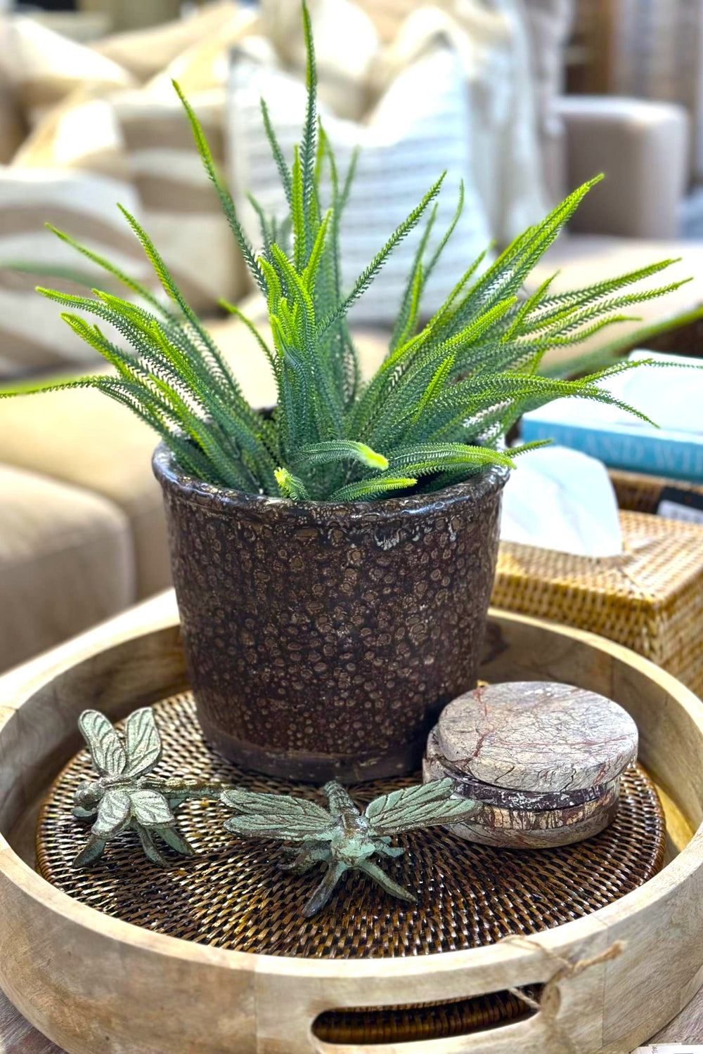 Brown Glazed Terracotta Pot