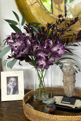 Vanda Orchid Olive Spray Mix