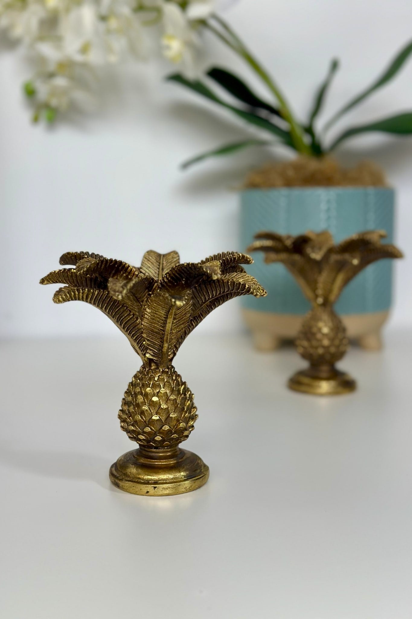 Gold Antique Coco Palm - C Holder, Small - Magpie Style