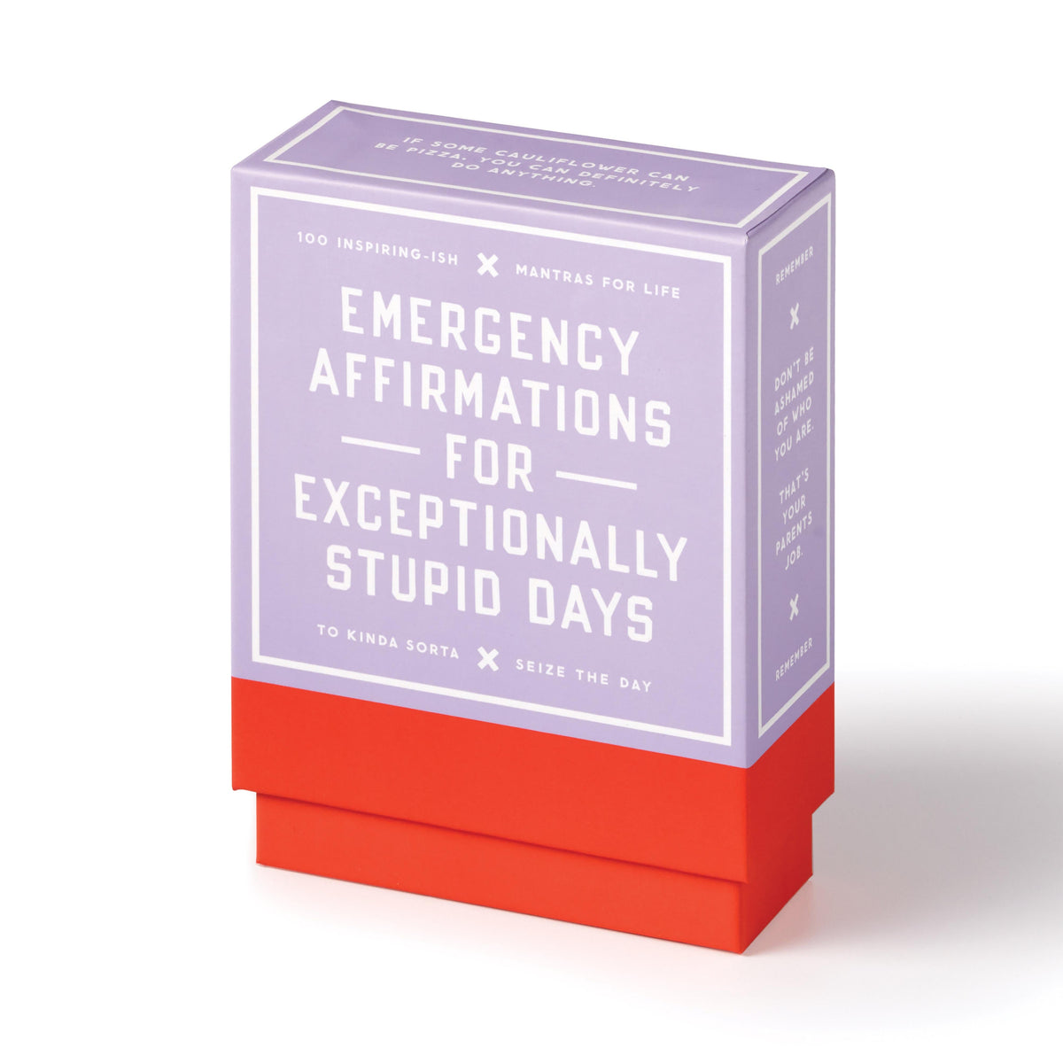 Emergency Affirmations for Exceptionally Stupid Days - 9
