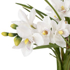 Cymbidium Orchid Pot - White - 2