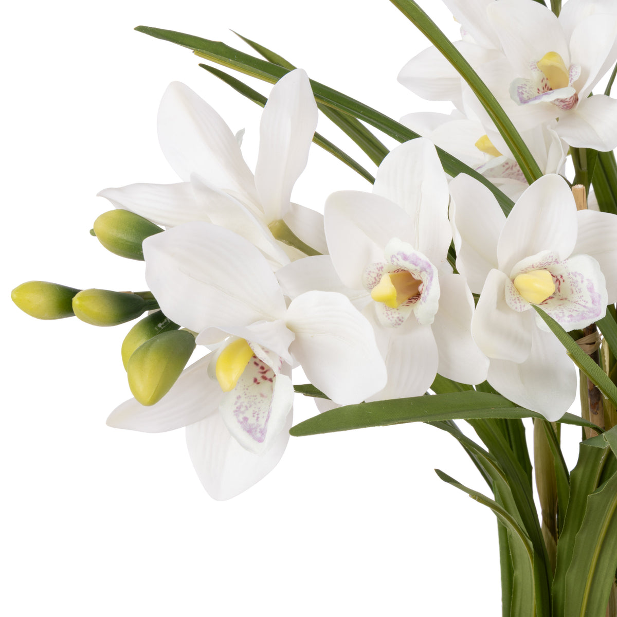 Cymbidium Orchid Pot - White - 2