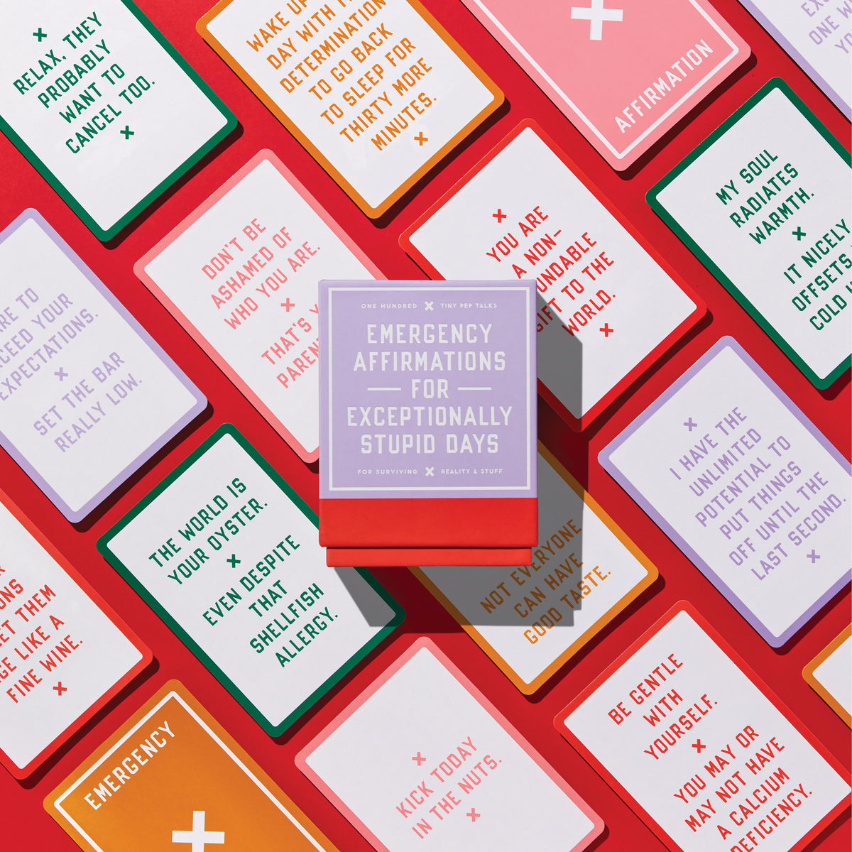 Emergency Affirmations for Exceptionally Stupid Days - 6
